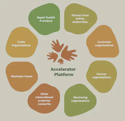 Accelerator platform